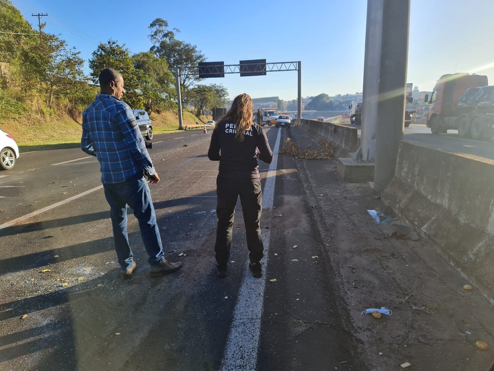 Cavalo Morre Ao Ser Atropelado Duas Vezes Na Sp