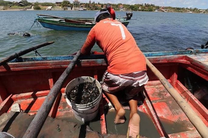 Governo pagará auxílio emergencial a pescadores de locais afetados por óleo