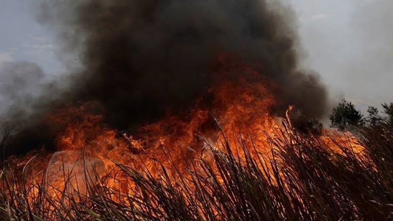 MPF vai avaliar competência do Estado para investigar incêndios florestais no PA