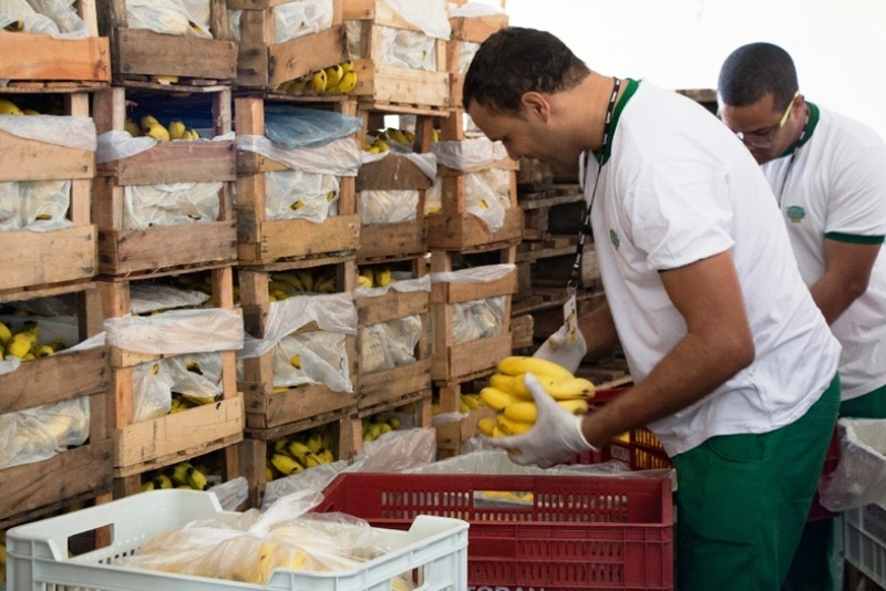 Mesa Brasil coleta 720 quilos de alimentos por dia em São Carlos
