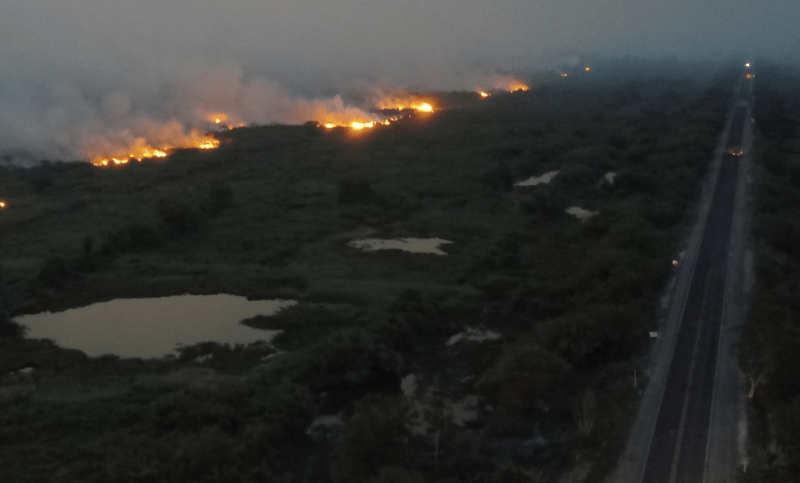 Após 13 dias de incêndio, Bombeiros controlam fogo no Pantanal