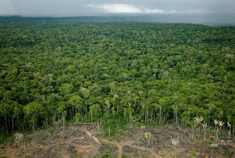 Nasa vê Amazônia mais seca e vulnerável