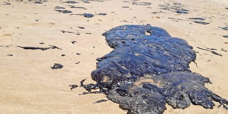 Manchas de óleo: chega a 764 número de localidades afetadas no Nordeste, ES e RJ