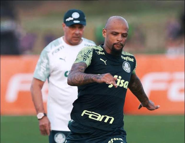 Palmeiras abre disputa por vaga no meio-campo