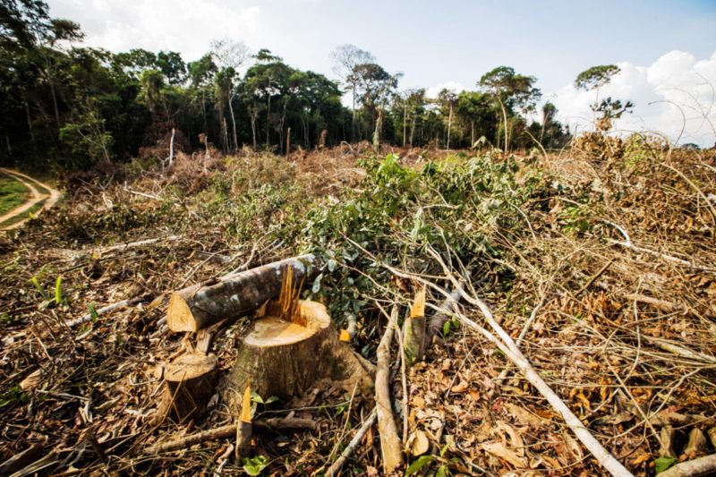 AGU cobra R$ 1,3 bi de grandes desmatadores da Amazônia
