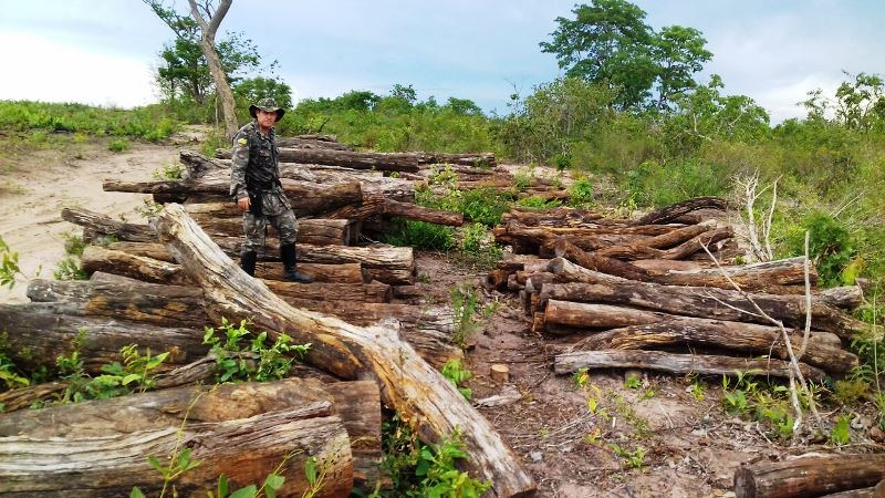 Ibama orienta fiscais no combate ao desmatamento