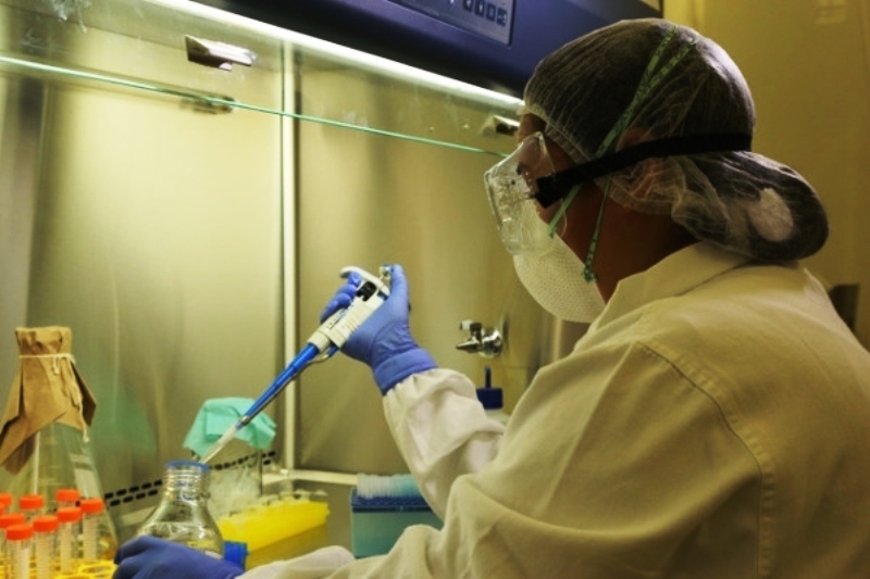 Embrapa: Laboratório se prepara para iniciar testes de covid-19
