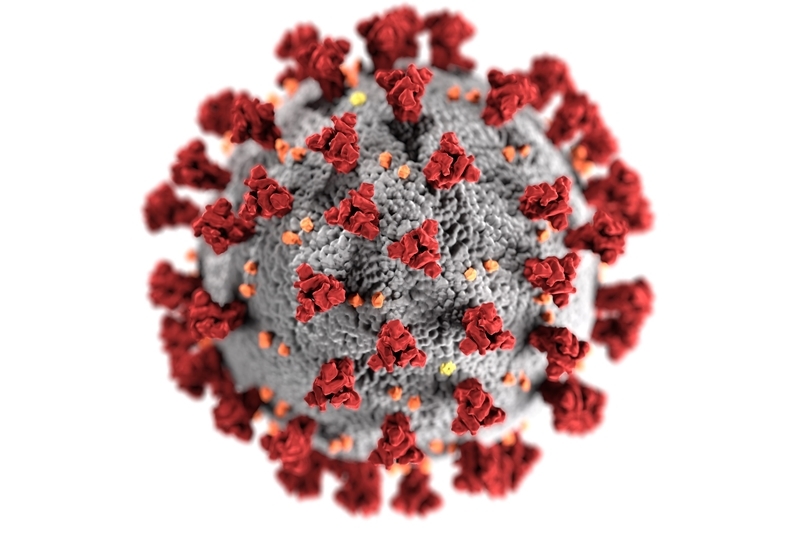 Brasil é o 18º no ranking mundial da evolução de casos confirmados do coronavírus