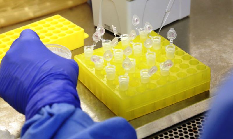 Brasil vai investir R$ 10 milhões em pesquisas do novo coronavírus