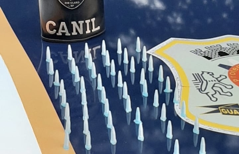 Canil da GM apreende adolescente com cocaína na cidade de Rio Claro