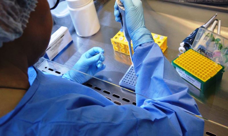 Universidade de Brasília e HUB iniciam teste de vacina contra Covid-19