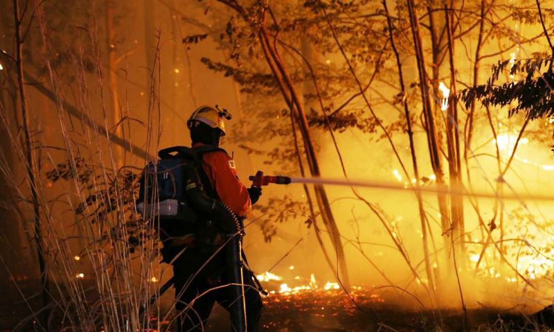 Incêndio atinge área de 163 hectares na Floresta Nacional de Brasília