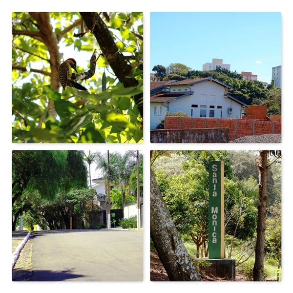 Ação de moradores revitaliza Parque Santa Mônica