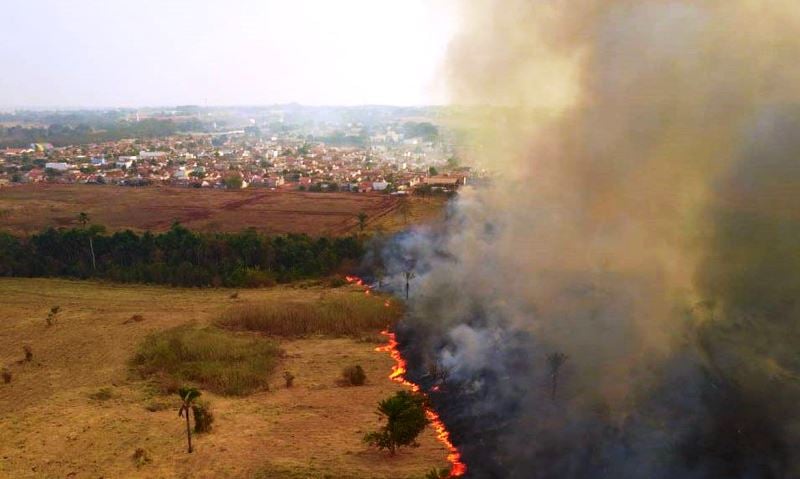 Parlamentares visitam áreas queimadas no Pantanal