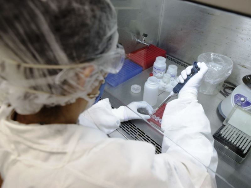 Cientistas relatam novos casos de reinfecção pelo novo coronavírus