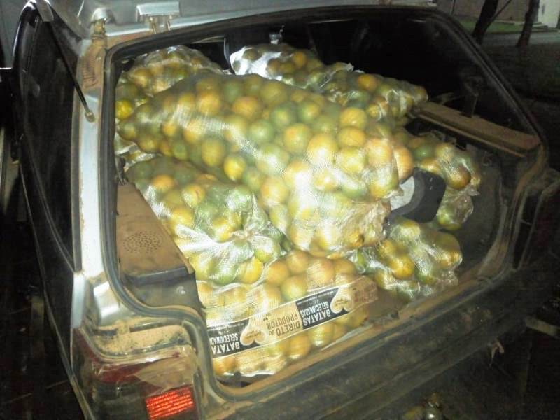 Dupla é presa após furtar 10 sacos de laranja em fazenda de Ibaté