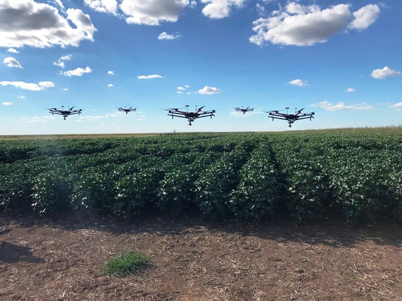 Enxame de drones é a tendência para monitorar o campo