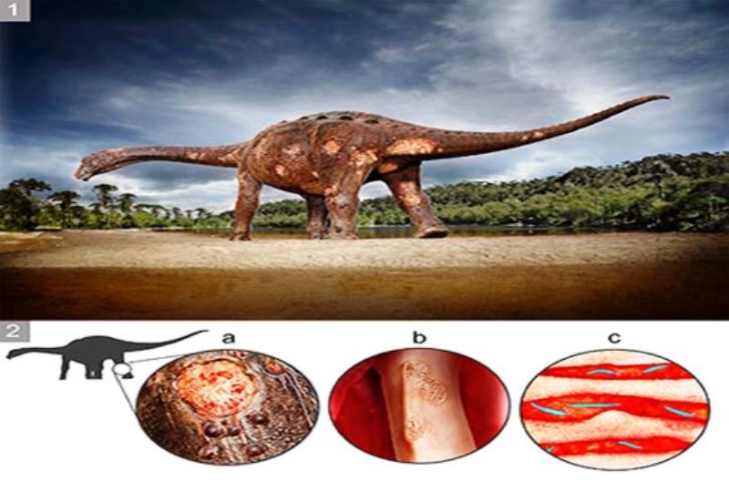 Pesquisa identifica parasita que causava doenças em dinossauros