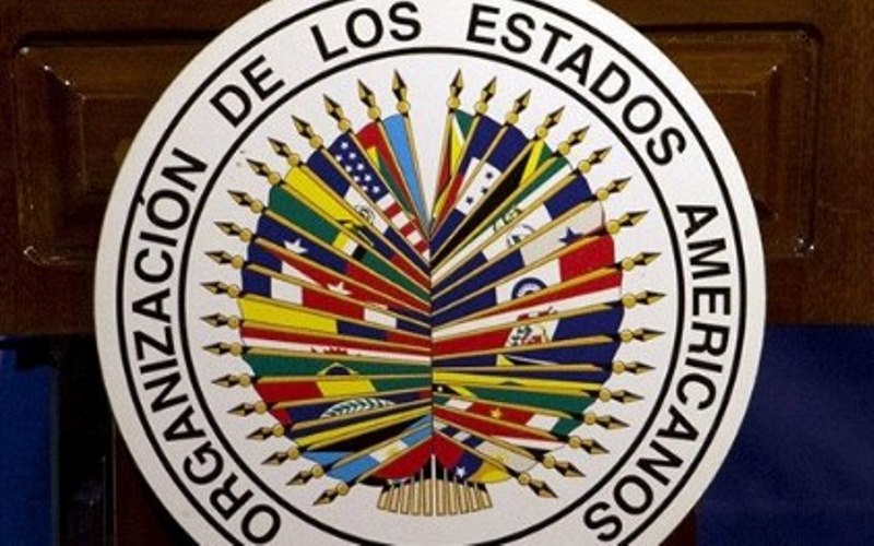 Relatório da OEA reconhece transparência