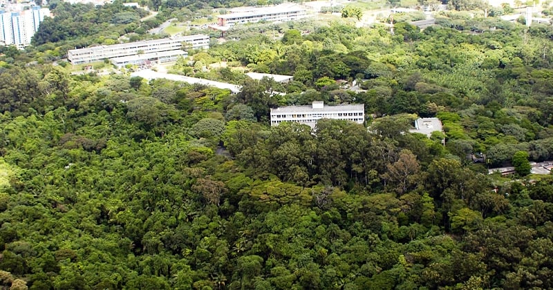 USP é a 13ª universidade mais sustentável do mundo