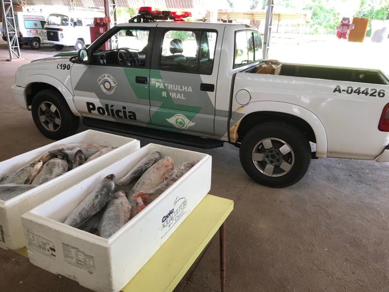 Polícia Ambiental apreende ave nativa em cativeiro e desbanca comércio irregular de peixes em Porto Ferreira