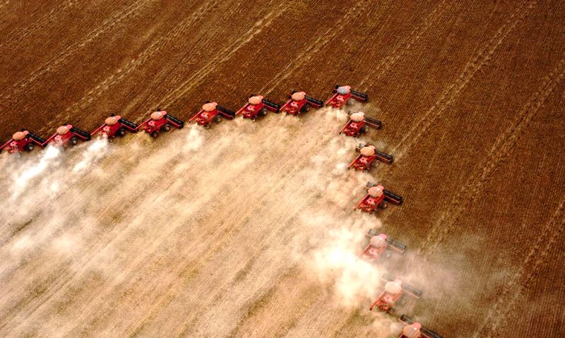 Caixa amplia para R$ 12 bilhões oferta de crédito agrícola