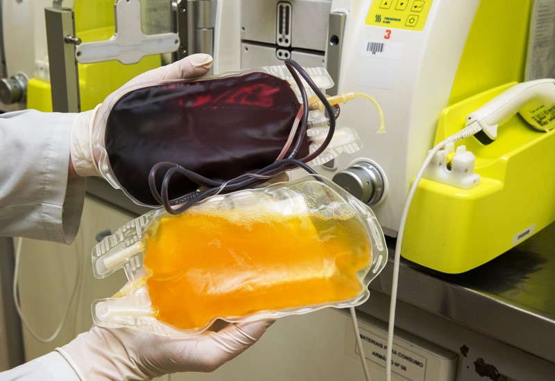 Governo de São Paulo cria rede de transfusão de plasma para tratamento de doentes com Covid