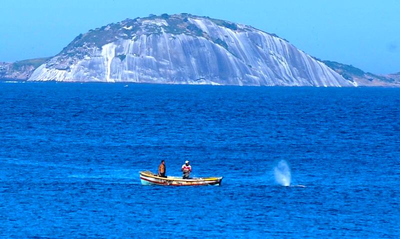 Brasil assina Declaração de Copenhague, de combate à pesca ilegal