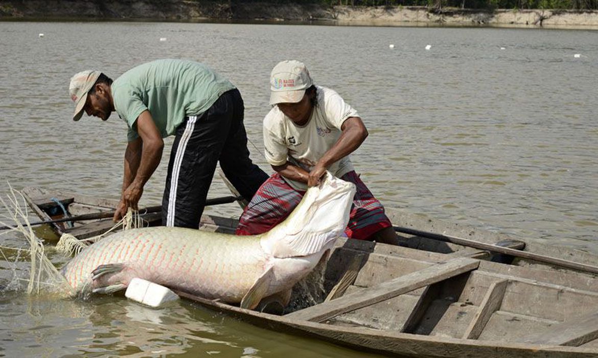 Tecnologias da Embrapa aproximam aquicultura do mercado internacional