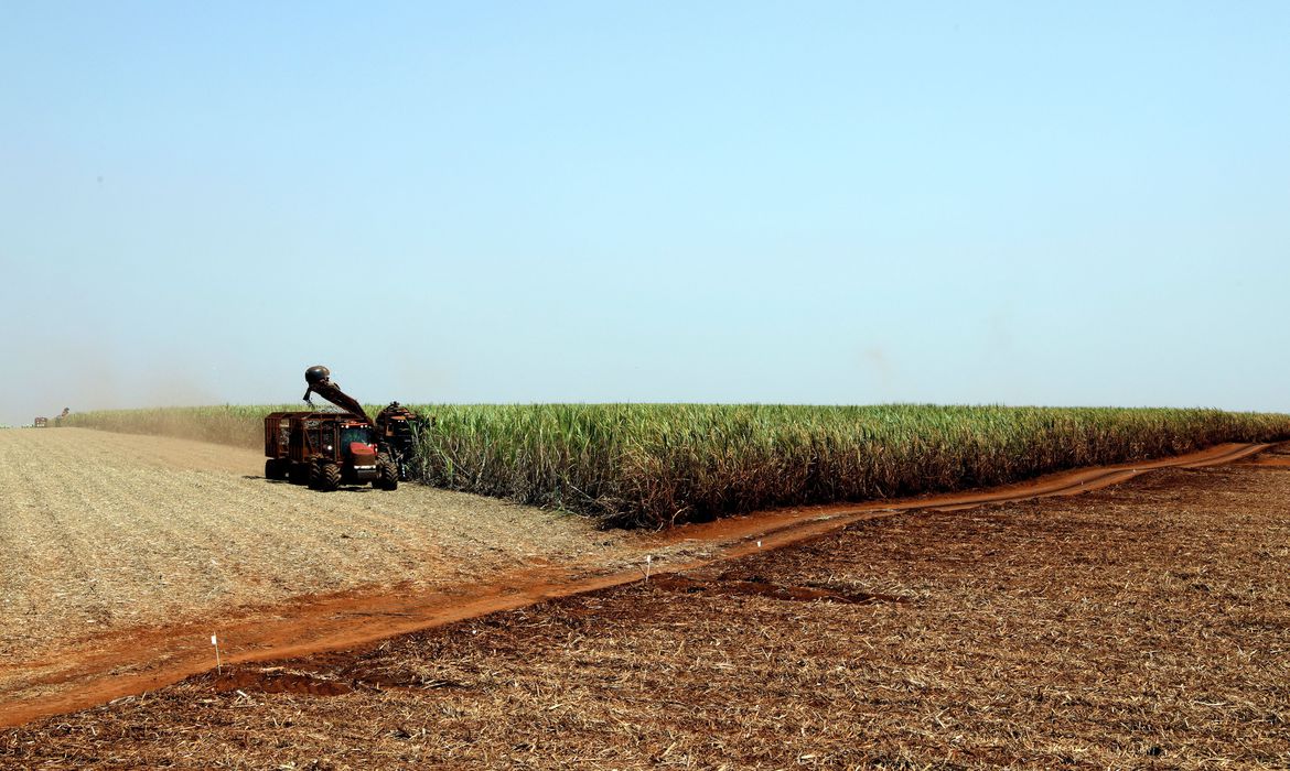 Governo lança plano de promoção da agricultura de baixo carbono