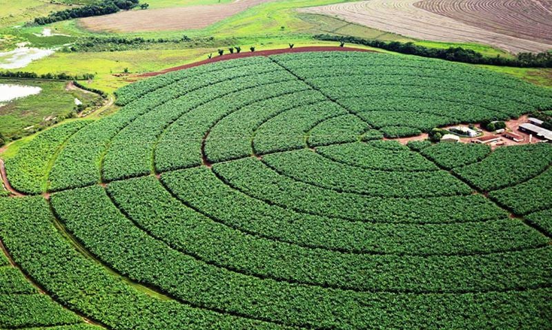 7ª previsão da Conab indica recorde de 273,80 milhões de toneladas