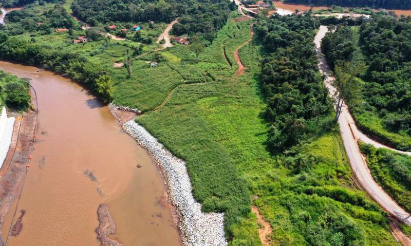 Reflorestamento em Brumadinho usa técnicas inéditas, mas só atingiu 1%