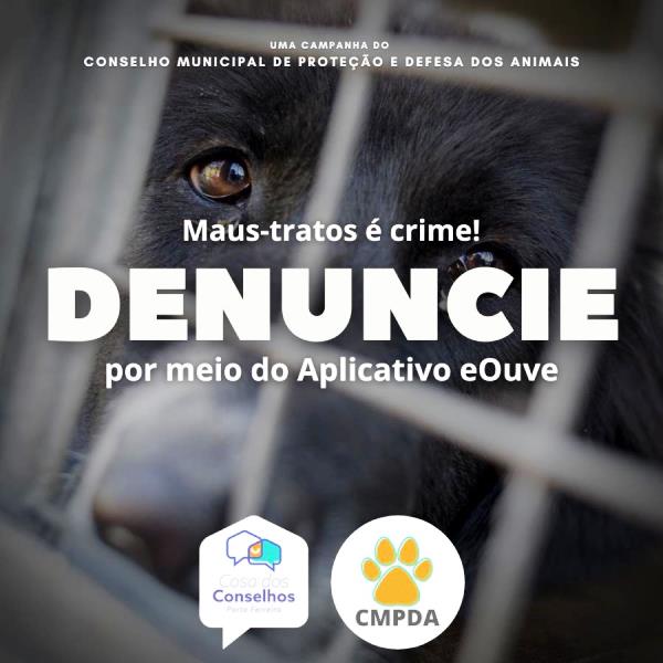 Conselho de Proteção Animal inicia conscientização contra maus-tratos