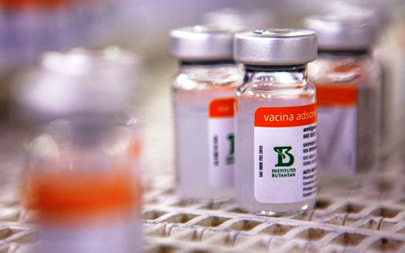 Vacinação com Coronavac reduziu em 88% as mortes de pessoas com mais de 70 anos