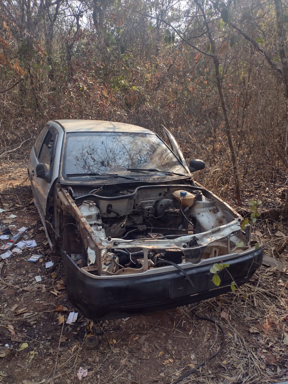 Carcaças de carros furtados são localizadas em matagal