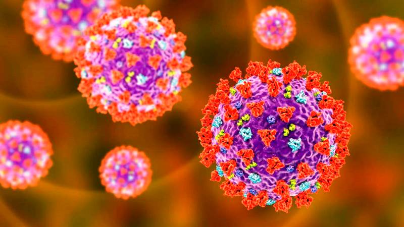 Brasileiro está entre grupo da OMS que estudará origem do novo coronavírus