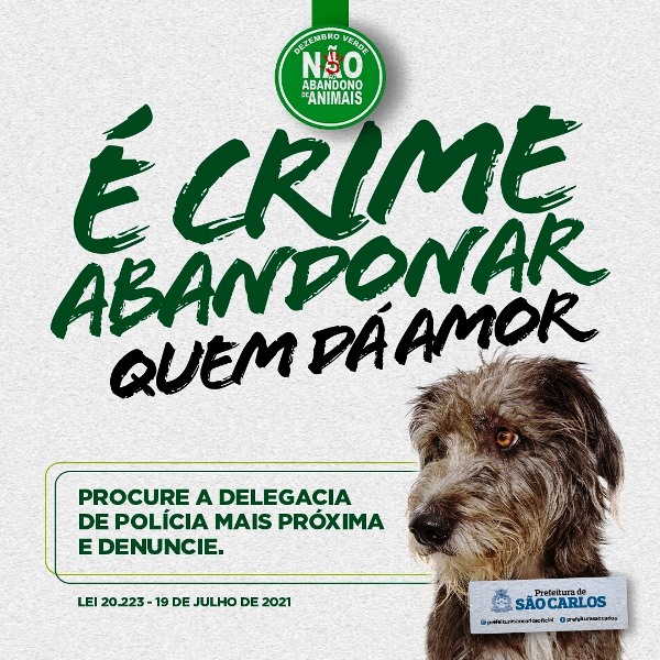 Prefeitura realiza campanha para conscientizar população sobre guarda responsável de animais