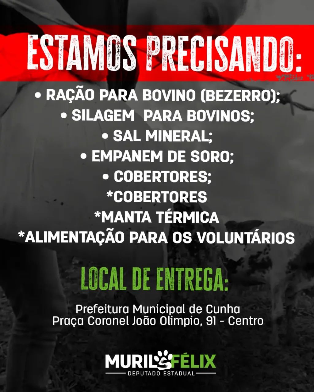 Grupo pede doações após resgatar bezerros em Cunha