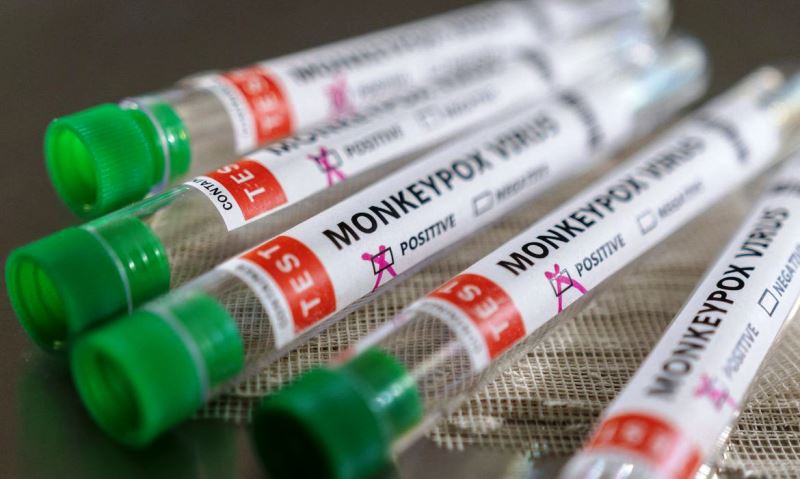 Ministério monitora três casos suspeitos de varíola dos macacos