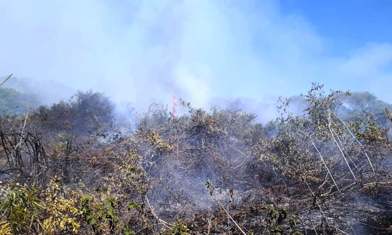 Incêndios no Pantanal motivam estado de emergência em 14 cidades