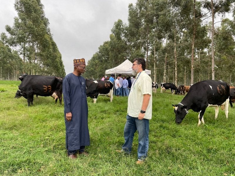 Embaixador da Nigéria conhece sistemas sustentáveis de produção em fazenda da Embrapa em São Carlos