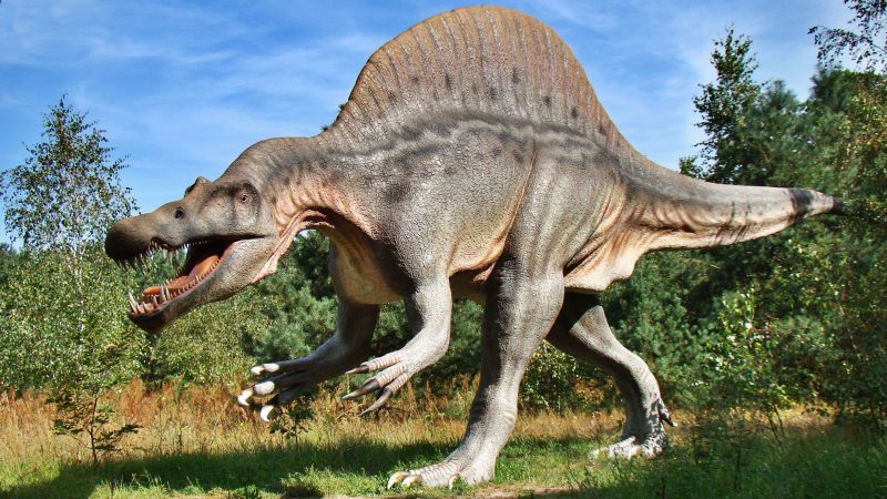 “Ciência às 19 Horas” apresenta “Dinossauros do Brasil – 170 milhões de anos de evolução”
