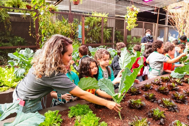 RibeirãoShopping implementa horta sustentável para transformar resíduos orgânicos de suas praças de alimentação em adubo