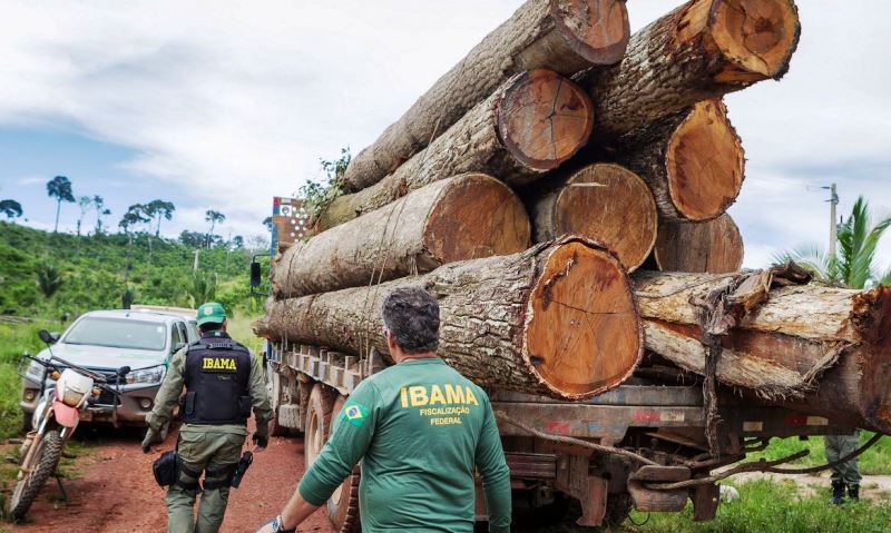 Grupo vai fiscalizar fraudes em sistemas de controle florestal