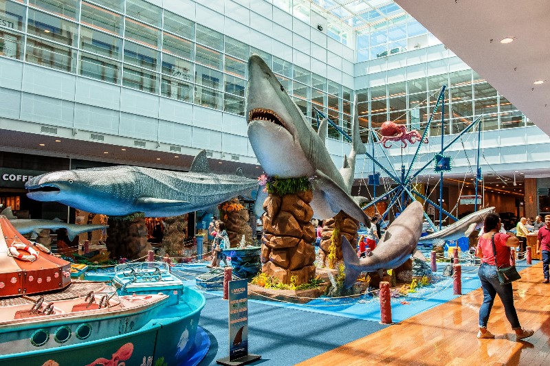Exposição inédita sobre tubarões no RibeirãoShopping promete animar as férias de crianças e adultos