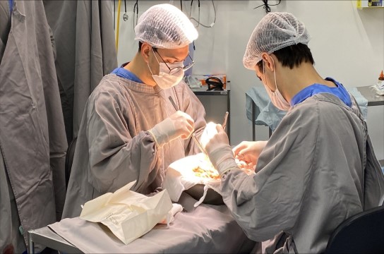 HU realiza 1ª captação de órgãos e tecidos para transplantes