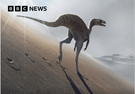 Descoberta de nova espécie de dinossauro faz Araraquara virar notícia internacional