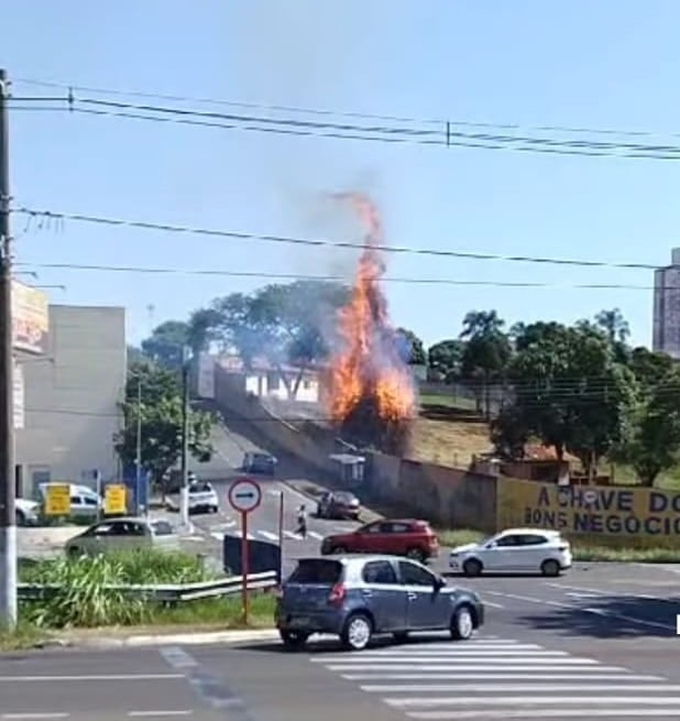 Vândalos ateiam fogo em chácara na Totó Leite