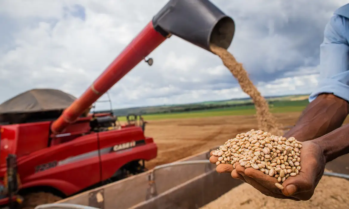 Produção de grãos deve atingir 312 milhões de toneladas