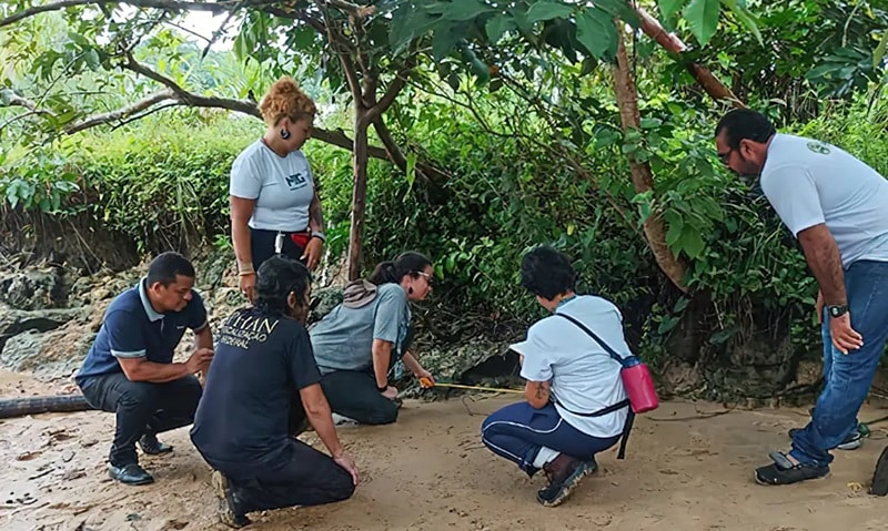 Quatro novos sítios arqueológicos são descobertos em Marajó